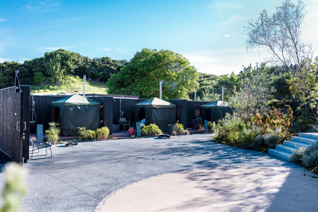 Row of dark green canvas camping pods with teal roofs along a black wooden fence, lush trees behind under a bright blue sky