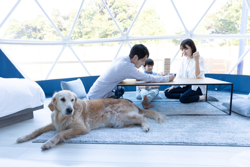 Family gathers around a low coffee table playing Jenga as a golden retriever naps on a rug in the foreground, bright room behind them.