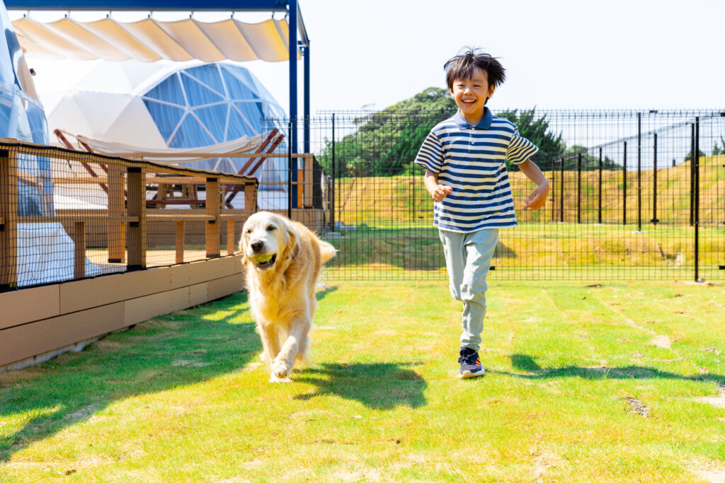 Smiling boy in a striped shirt runs with a golden retriever in a fenced, sunny yard behind a playground structure.