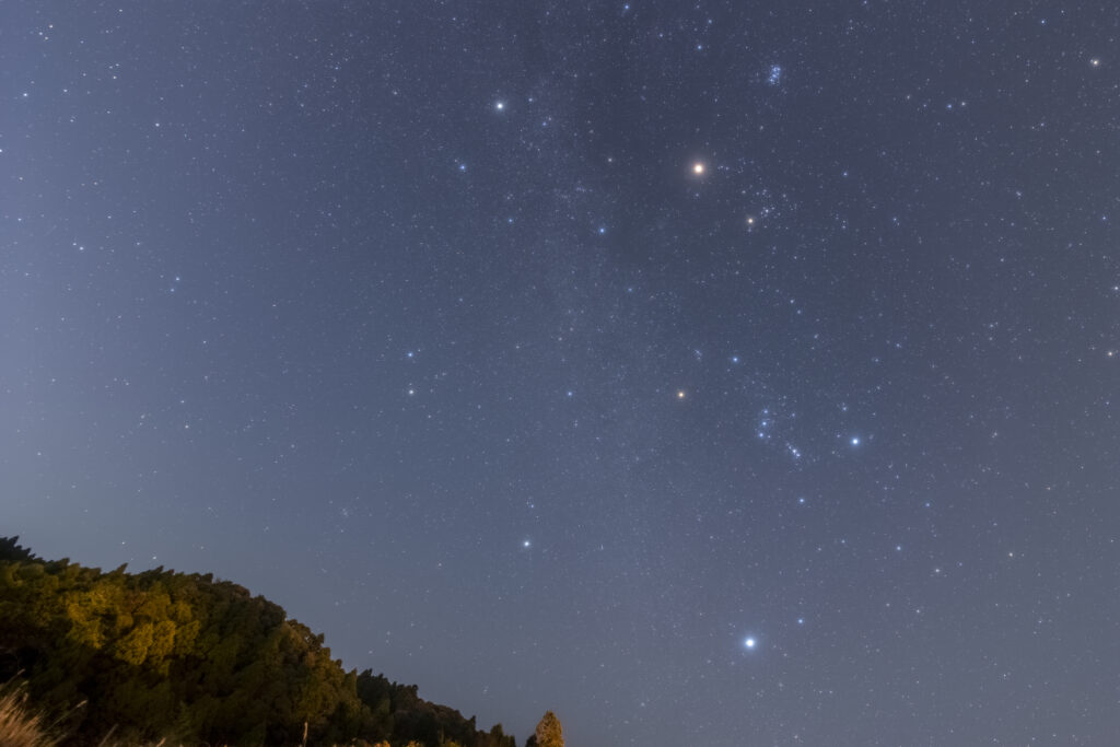 Star-filled night sky over a forested hillside, viewed from the ground at night.
